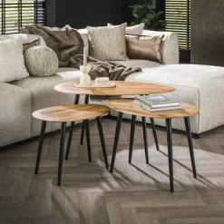 Couchtisch Organisch 3er Set Akazie massiv^Rubjerg Design Best