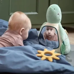 Aktivitätsspielzeug Turbo die Schildkröte grün^Sebra Clearance